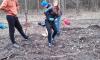 20180406_113217.jpg