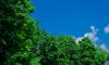 DSC_2275_wynik.jpg