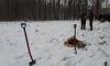 20220401_103739_wynik.jpg