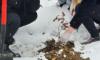 20220401_104747_wynik.jpg