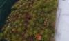 received_294009026068533_wynik.jpeg