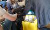 20210914_120125_wynik.jpg