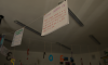 325A1919.png
