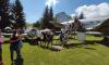 IMG_20190601_105351_1.jpg