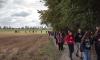 _DSC6567_wynik.jpg